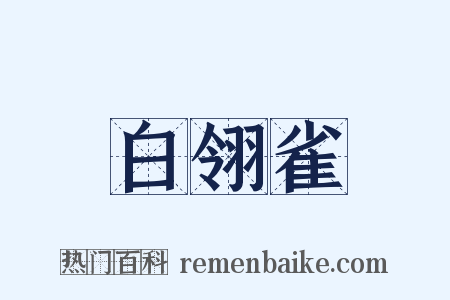 白翎雀是什么意思的图片